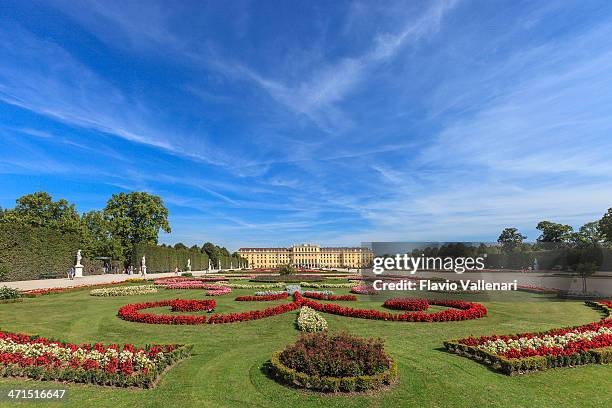 jardins & schönbrunn palace, viena - palácio de schonbrunn imagens e fotografias de stock