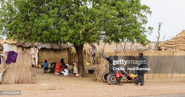 houses of straw - ziguinchor stock pictures, royalty-free photos & images