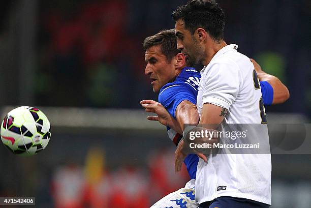 Gonzalo Ruben Bergessio of UC Sampdoria competes for the ball with Davide Brivio of Hellas Verona FC during the Serie A match between UC Sampdoria...