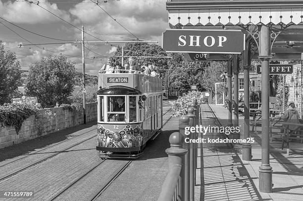 trams - colyton stock pictures, royalty-free photos & images