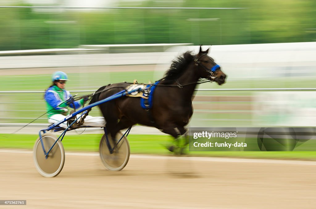 Harness racer in motion