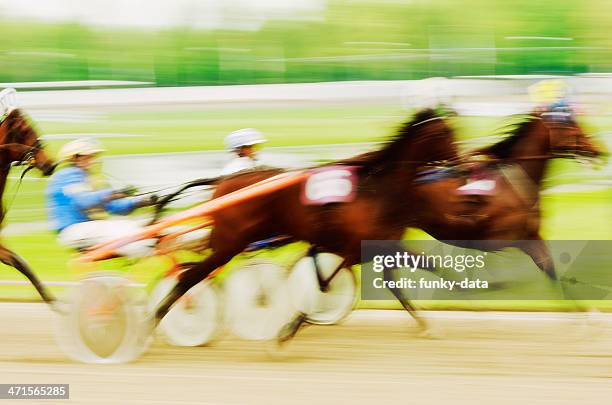 cablaggio corridori in movimento - trotto-andatura-animale foto e immagini stock