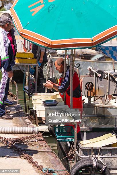 fisherman sell fresh fish at port - cattolica beach stock pictures, royalty-free photos & images