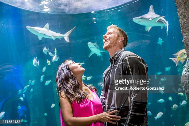 Catherine Lowe and Sean Lowe attend the grand opening of I-Drive 360, home of the new Orlando Eye, during a VIP evening ceremony on April 29, 2015 in...