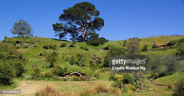 hobbiton - the shire - the hobbit stock pictures, royalty-free photos & images