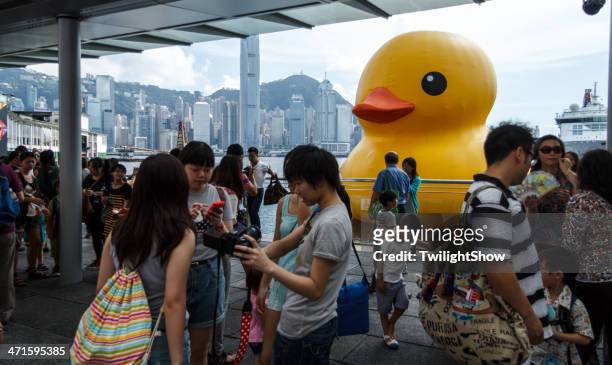 regarde géant jaune canard en caoutchouc - rubber duck sculpture photos et images de collection