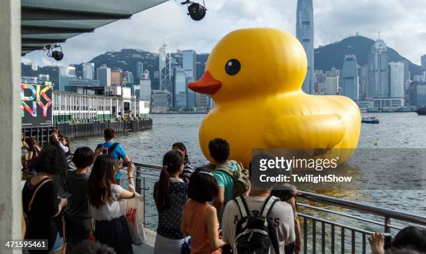 looking at giant rubber yellow duck - rubber duck sculpture bildbanksfoton och bilder