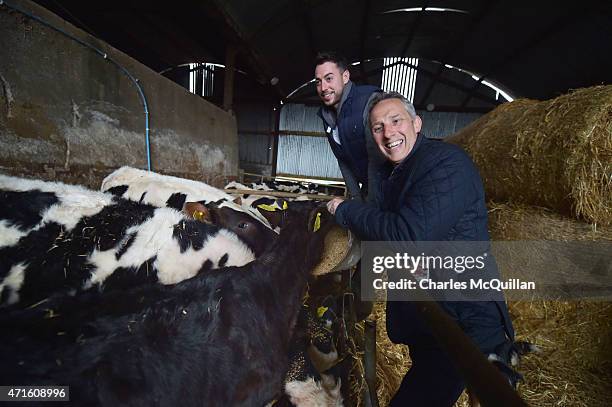 Democratic Unionist Party Westminster candidate Ian Paisley Jr feeds some cattle on James Hanna's farm whilst out canvassing on April 29, 2015 in...