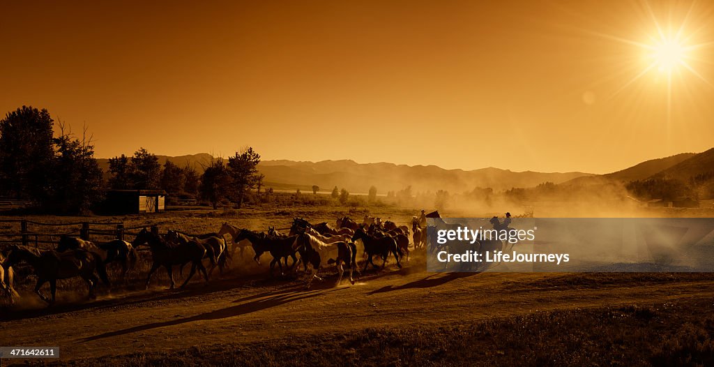 Cowboys Driving the Horses to Pasture At Dusk - Sunset