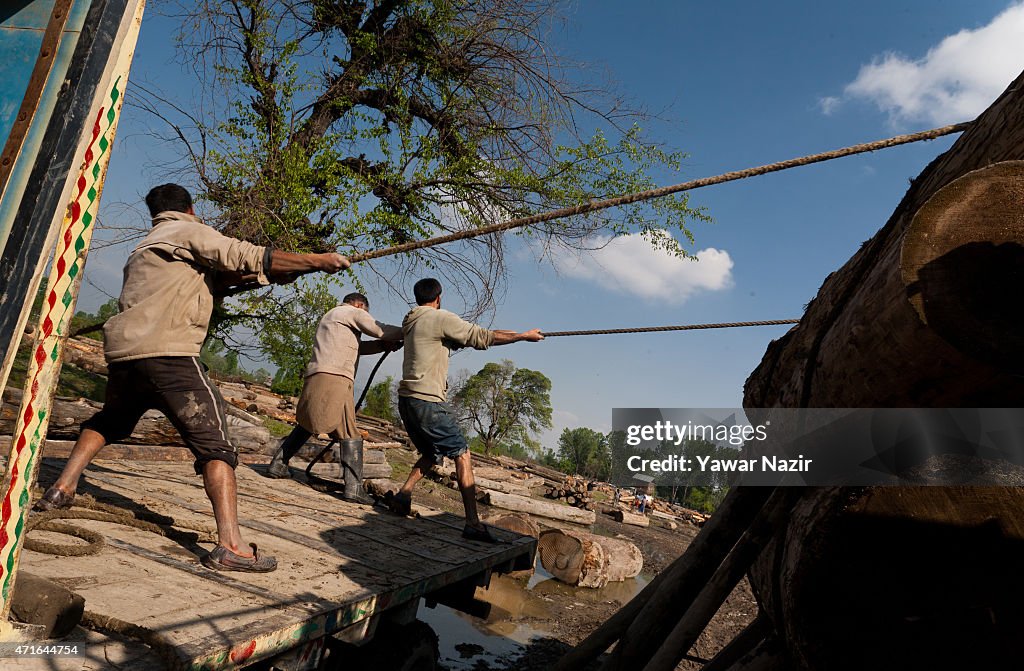 Low Pay Job For High-Risk Timber Loading In Kashmir