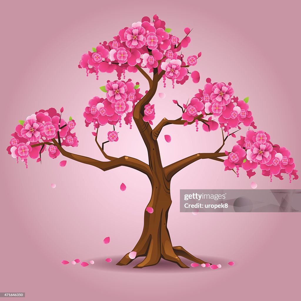 Sakura Tree Graphics Japanese Sakura Tree High-Res Vector Graphic - Getty Images