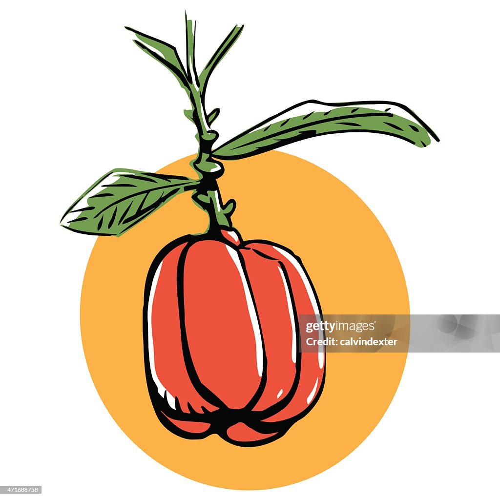 Ackee fruit
