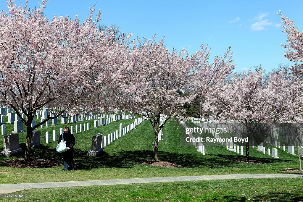 Washington, D.C. Cityscapes And City Views