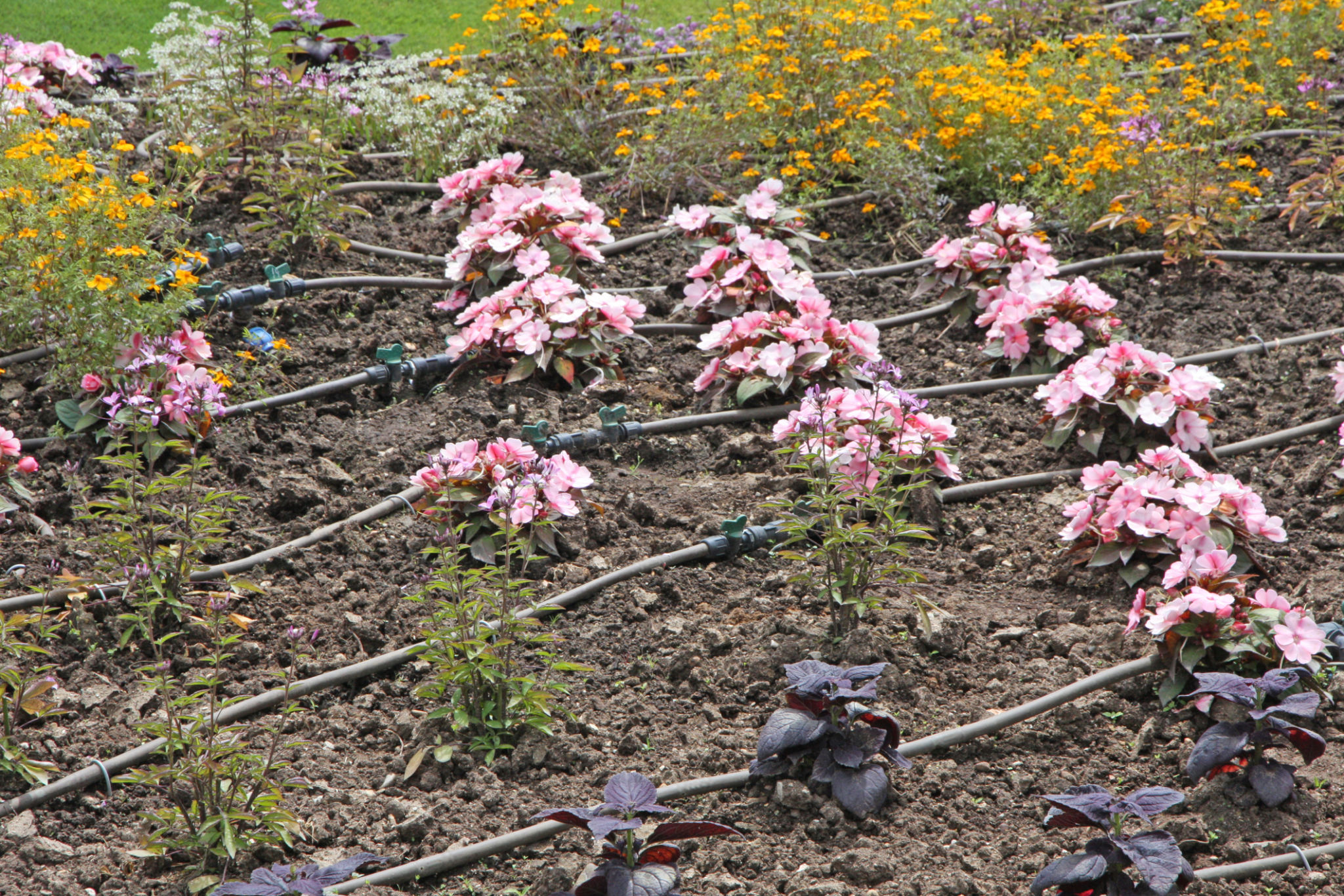 bewässerungssystem garten