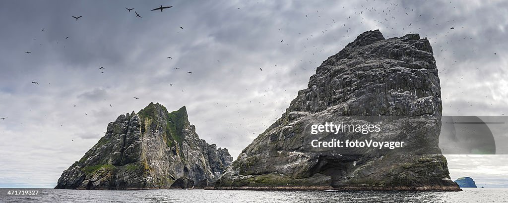 Pájaro mar remoto pila de colonias Hebridean island St Kilda Escocia