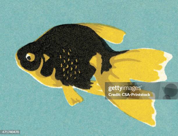 goldfish - goldfish stock illustrations