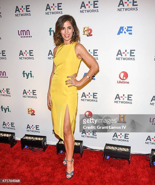 Ana Ortiz attends the 2015 A+E Networks Upfront on April 30, 2015 in New York City.