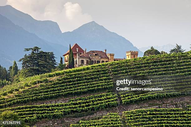 mansion in the vineyards - alto adige stock pictures, royalty-free photos & images