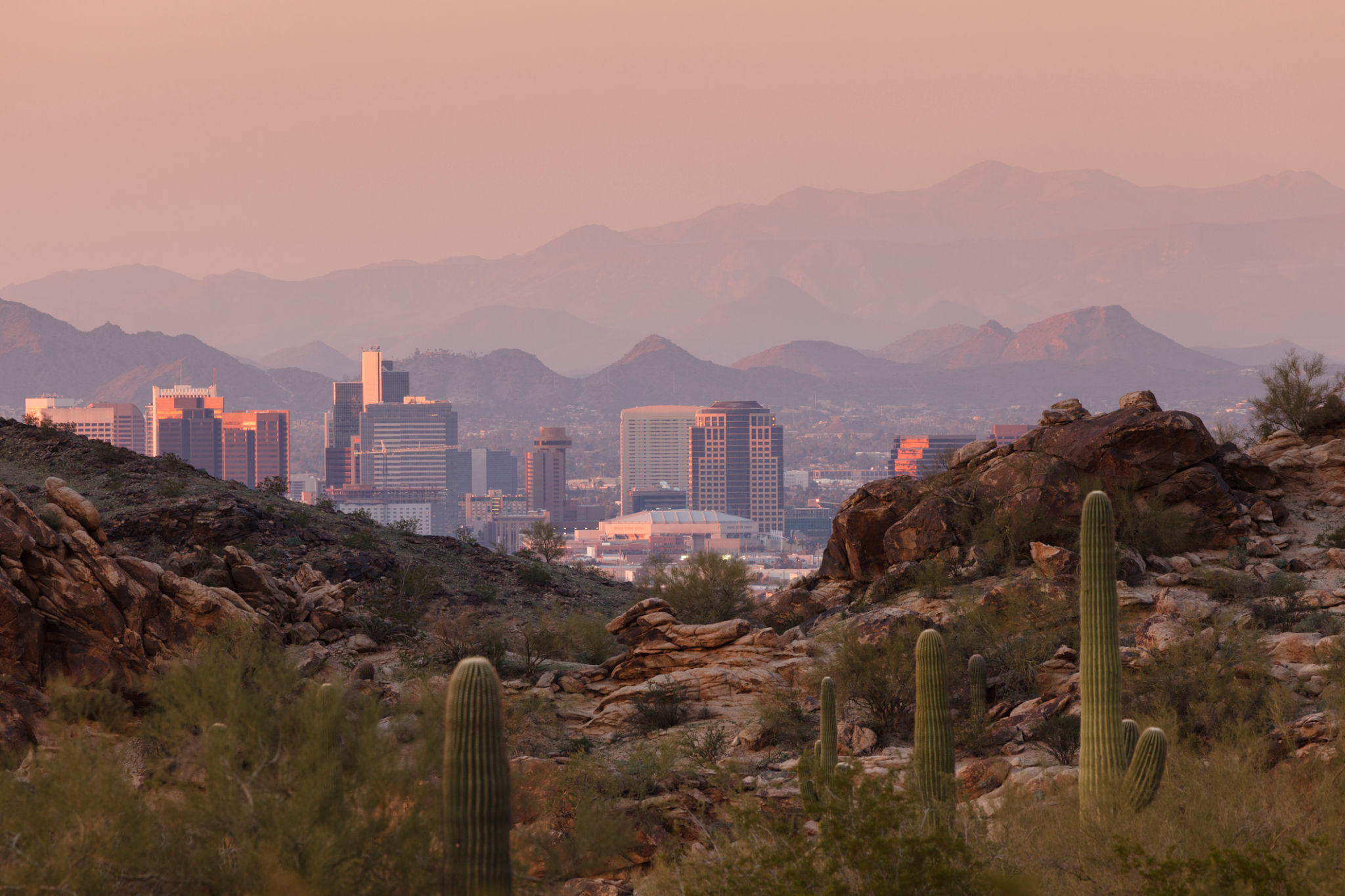 desert city