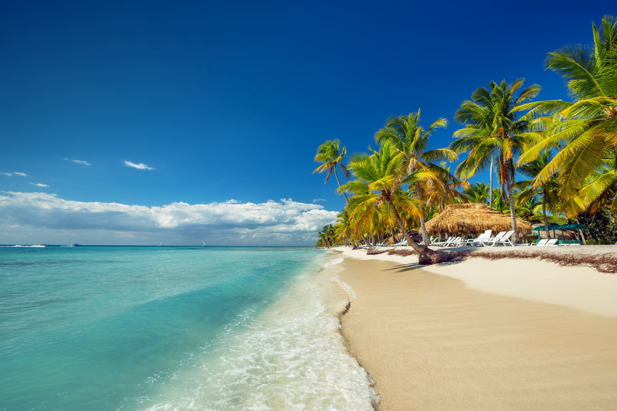 caribbean beach