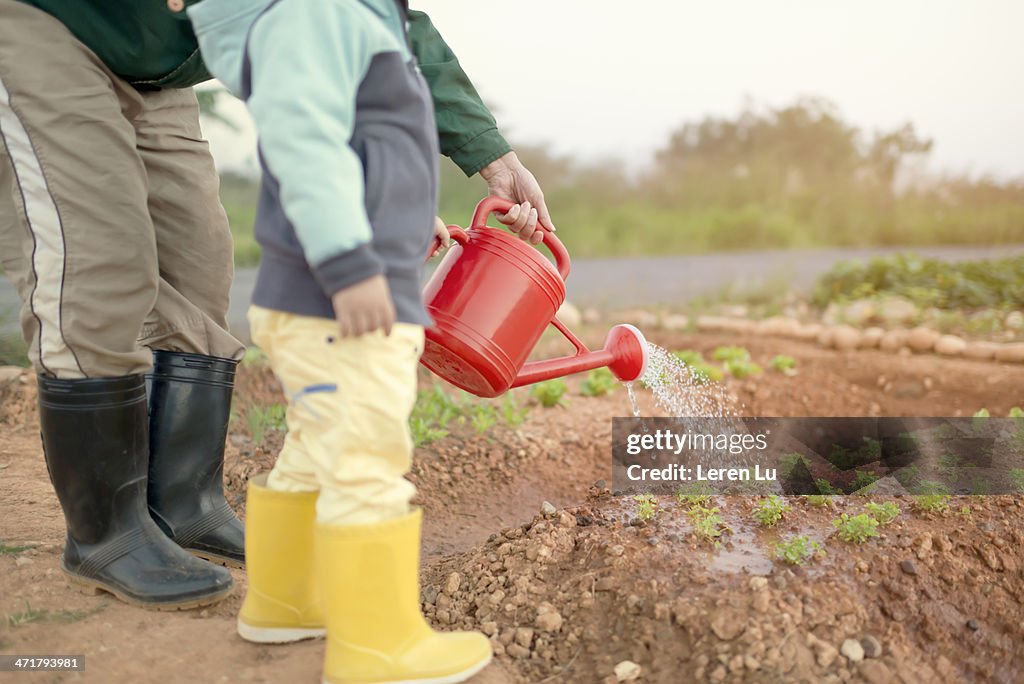 Child and grandfather watering the farm