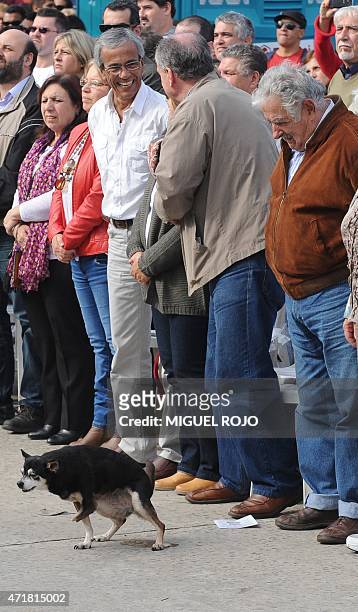 Former president, senator Jose Mujica stares at his pet dog Manuela as he participates in the May Day celebrations in Montevideo, on May 1, 2015. AFP...