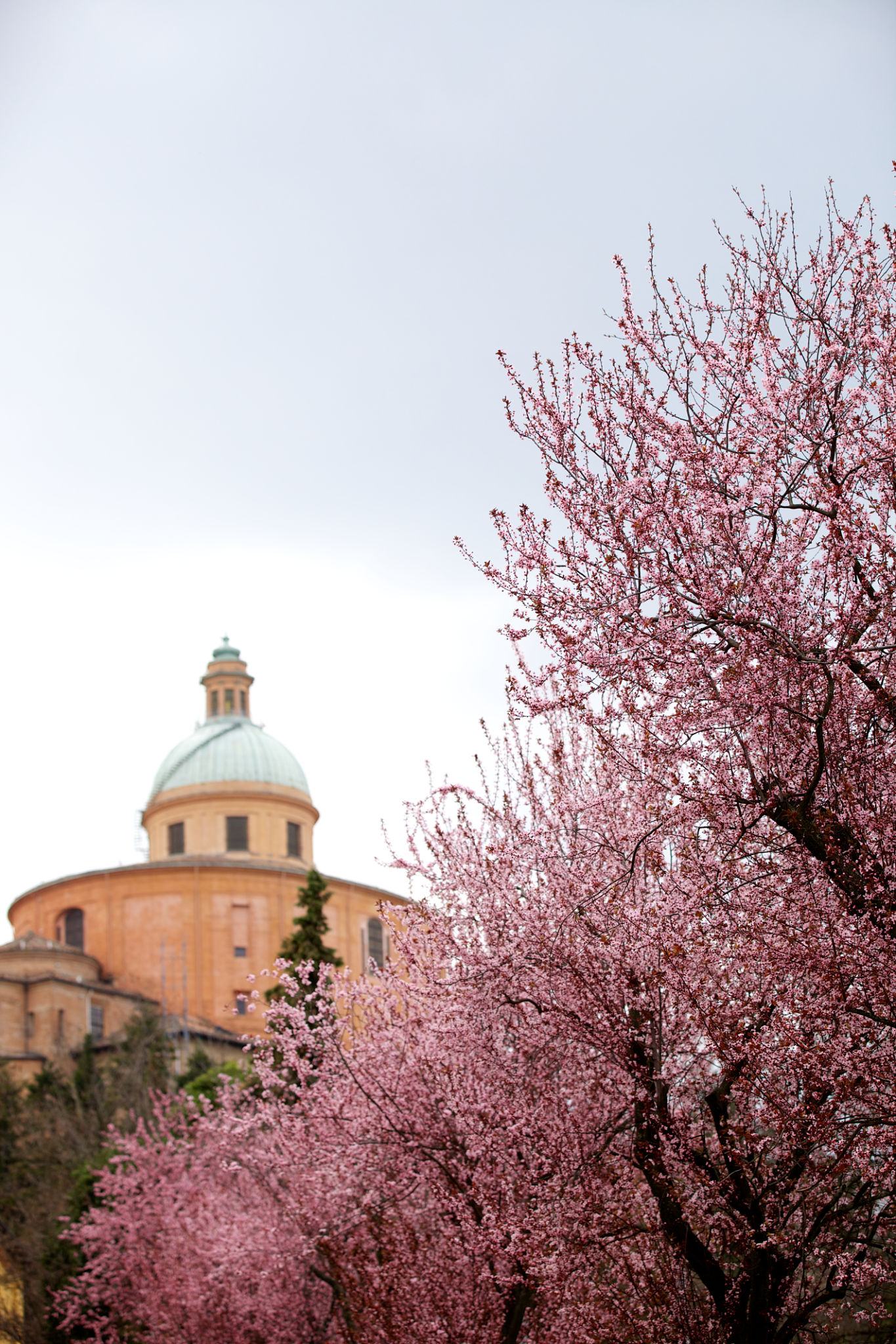 bologna santuario primavera