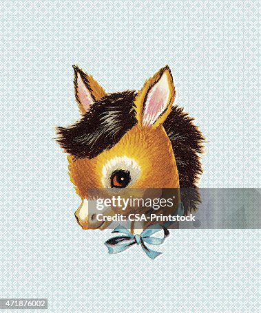 Donkey Donkey