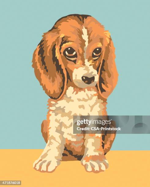 paint by number dog - paint by number stock illustrations