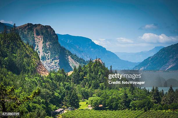 oregon columbia river gorge paisagem montanhosa espetacular floresta de washington, eua - columbia gorge - fotografias e filmes do acervo