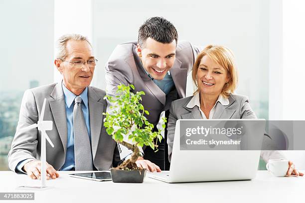 business people working together on laptop. - bonsai tree office stock pictures, royalty-free photos & images