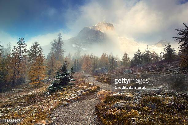 trail auf die berge im nebel - misty mountains stock-fotos und bilder