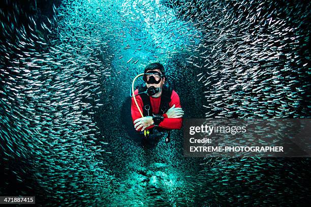 breaking the school of fishes - marinebasis stock pictures, royalty-free photos & images