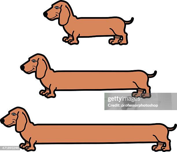 453点のダックスフントイラスト素材 Getty Images 453点のダックスフントイラスト素材 Getty Images
