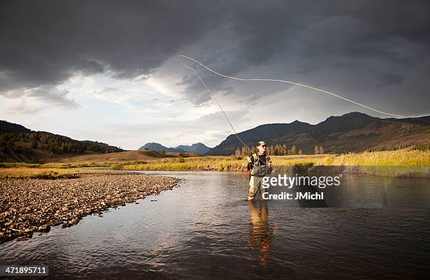 fly fishing for trout on a western united states river. - fly fishing stockfoto's en -beelden