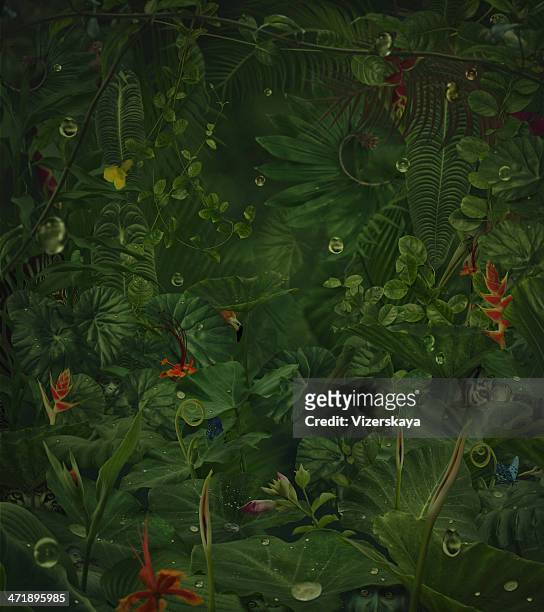 fairy rainy jungle with hide wild animals - wild flowers stockfoto's en -beelden