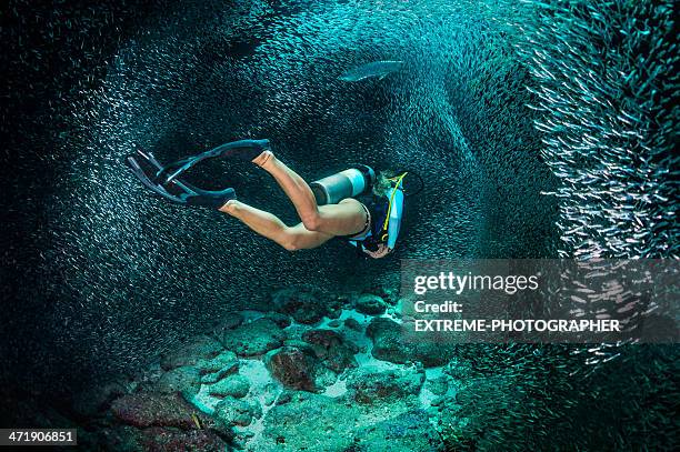 femmina scuba diver - immersione da palombaro foto e immagini stock