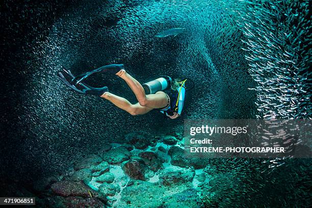 雌スキューバダイバー - diver ストックフォトと画像