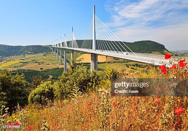 millau bridge, southern france - tall poppy stock pictures, royalty-free photos & images