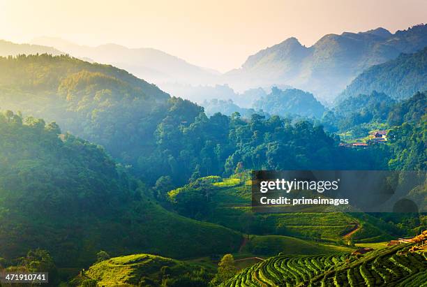 beautiful sunshine at misty morning mountains . - thailand landscape stock pictures, royalty-free photos & images