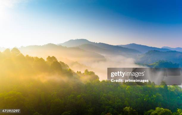 hermoso sol a misty mañana a las montañas. - green hills fotografías e imágenes de stock