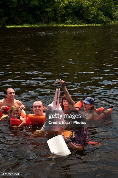 Ecotourism in Amazon rain forest - Tourists have fun and feed the Amazon river dolphin or Pink River Dolphin , a freshwater river dolphin endemic to...