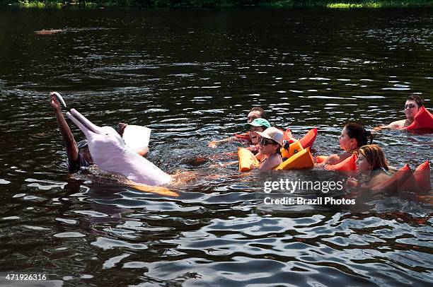 Ecotourism in Amazon rain forest - Tourists have fun and feed the Amazon river dolphin or Pink River Dolphin , a freshwater river dolphin endemic to...