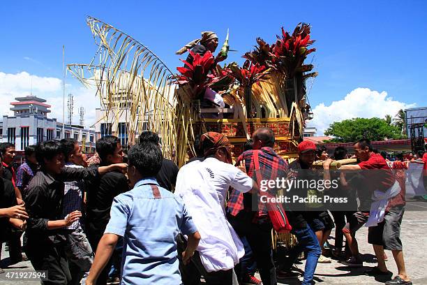 Torajah Communal Ritual 230 Sulawesi Pig Stock Photos, High-Res Pictures, and Images - Getty Images