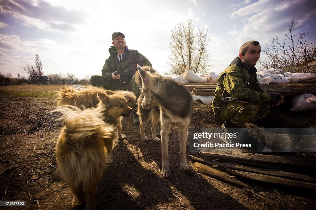 DNR soldiers with their pet dogs at the front line position...