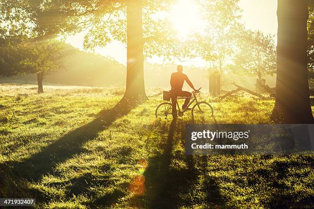 giovane uomo in bicicletta nel parco di richmond, londra - park at sunrise foto e immagini stock