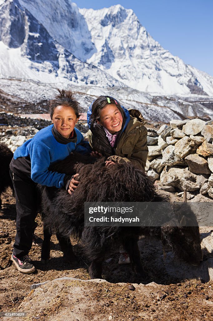 Young Nepali girls playing with yaks