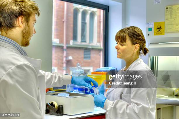 research scientists at work - labelling stock pictures, royalty-free photos & images