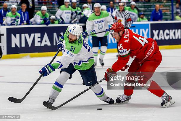 Andrei Kostitsyn of Belarus and Mitja Robar of Slovenia battle for the puck during the IIHF World Championship group B match between Belarus and...