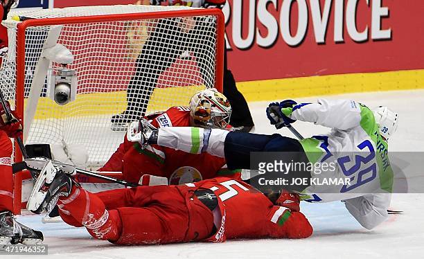 Slovenia's Jan Mursak falls down with Nikolai Stasenko of Belarus during the group B preliminary round ice hockey match Belarus vs Slovenia of the...